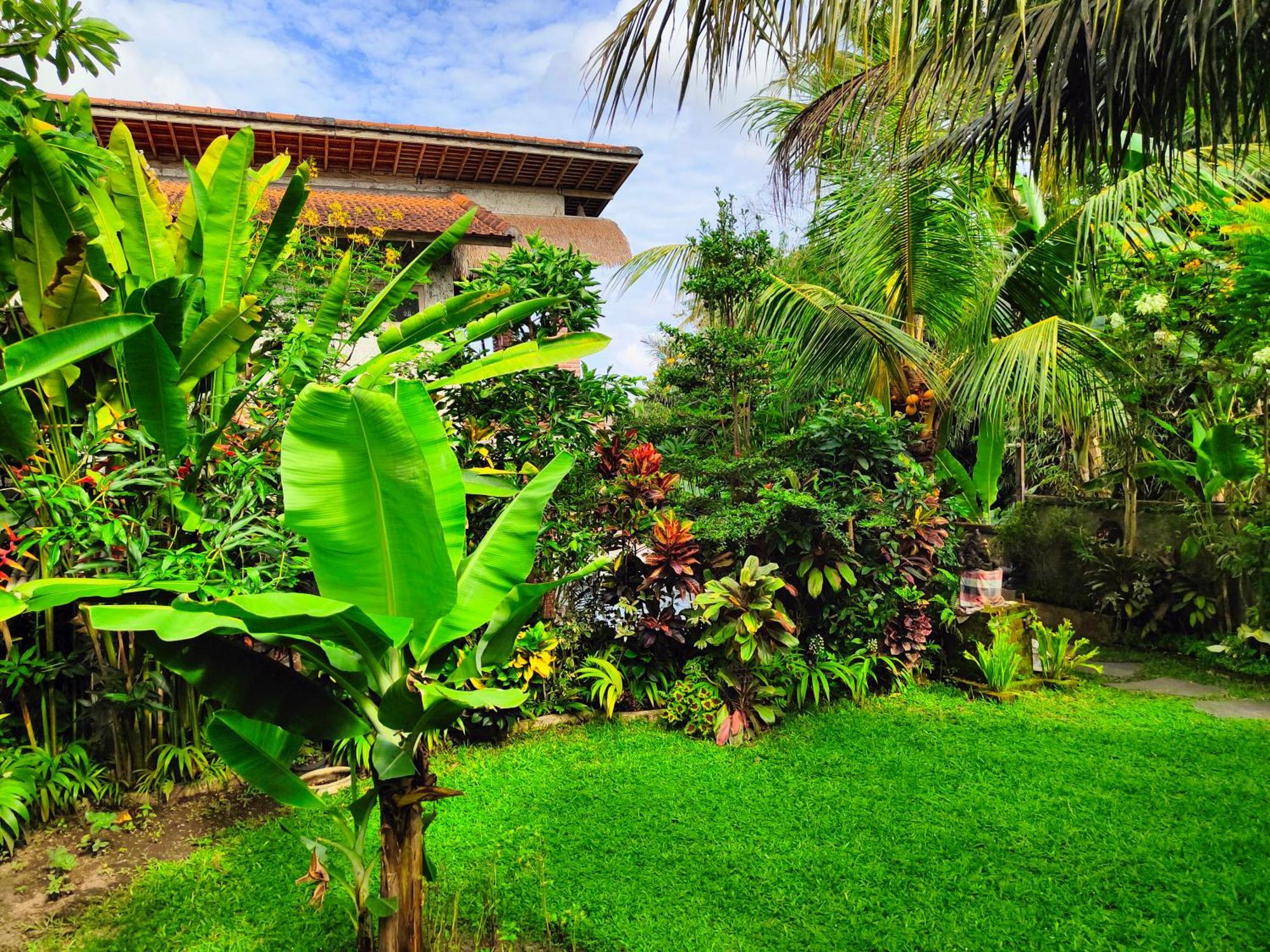 D'Nanda Villa Ubud Exterior foto