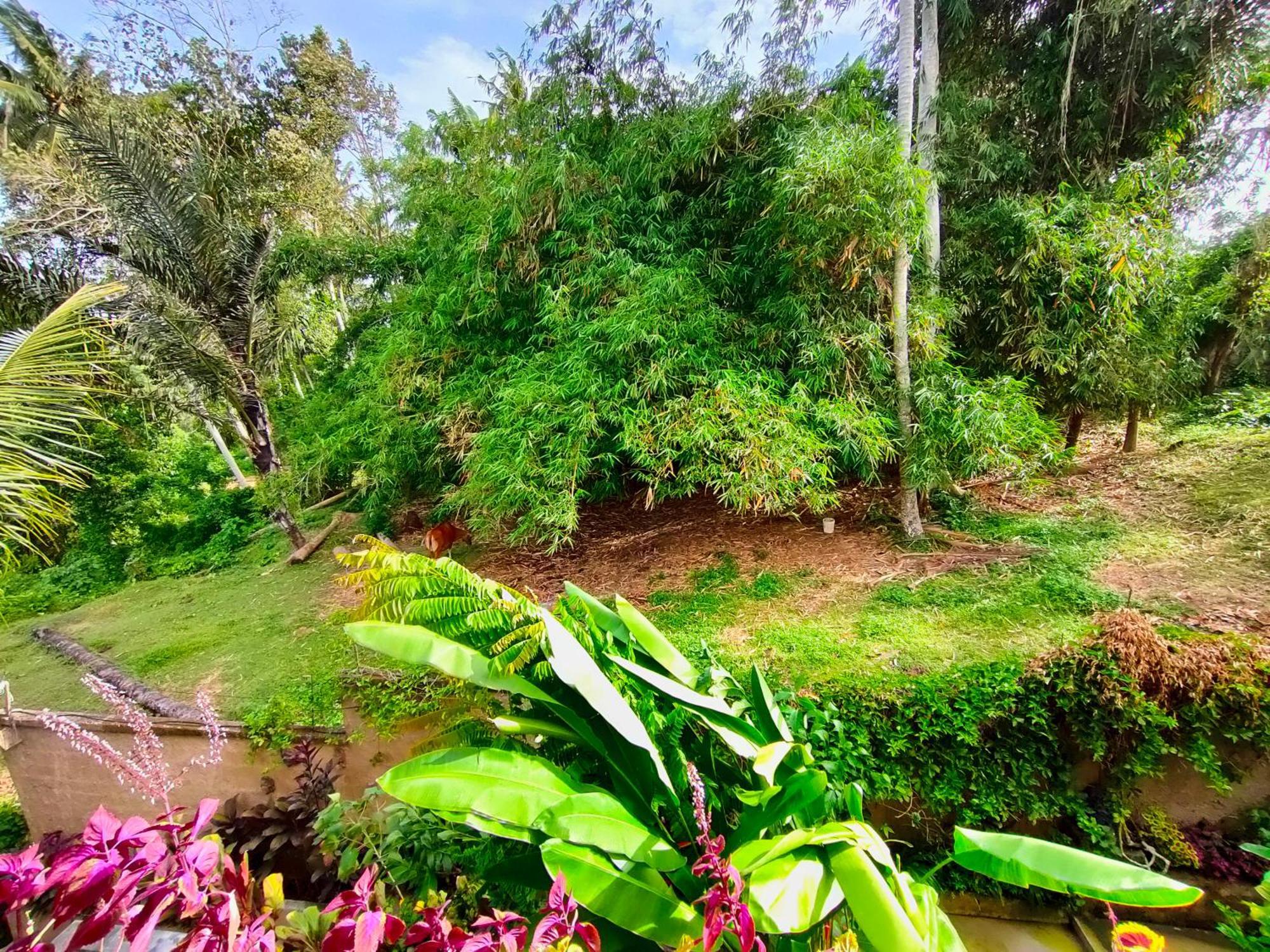 D'Nanda Villa Ubud Cameră foto